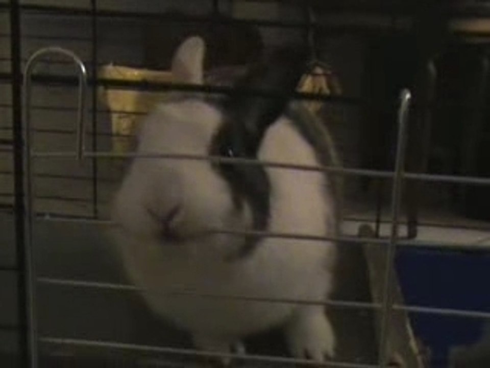 Luna mord ses barreaux