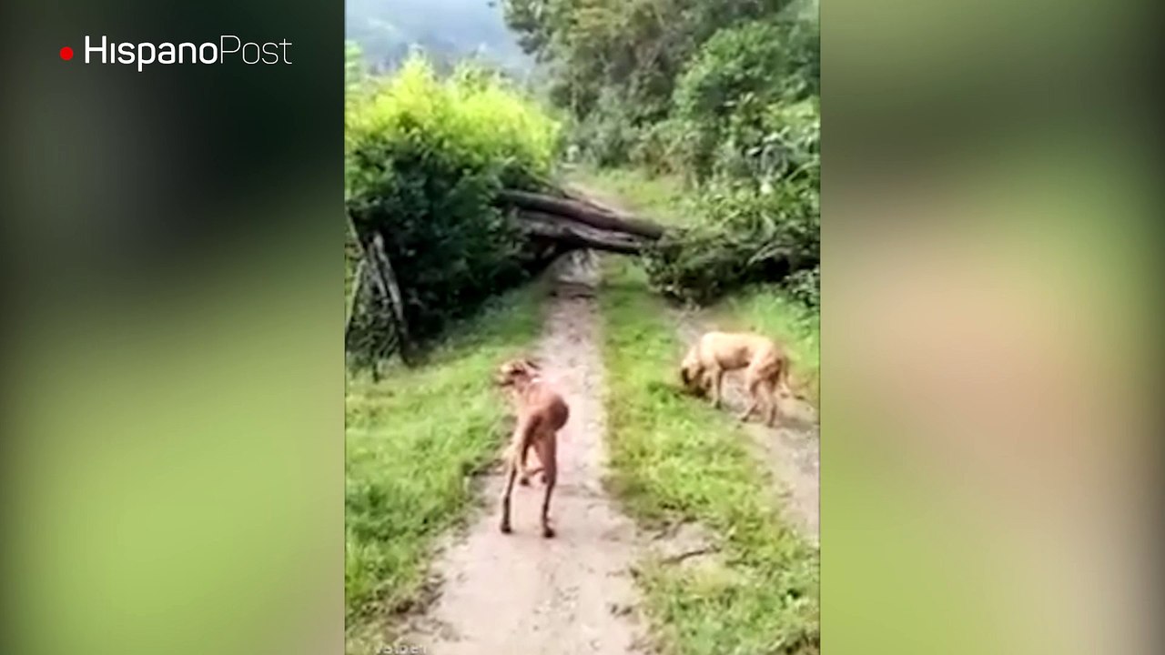 Nos elecotruque