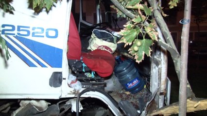 Kurbanlık hayvan yüklü kamyon kaza yaptı: 1 yaralı