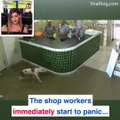 These workers can't figure out if this dog is friendly or not 