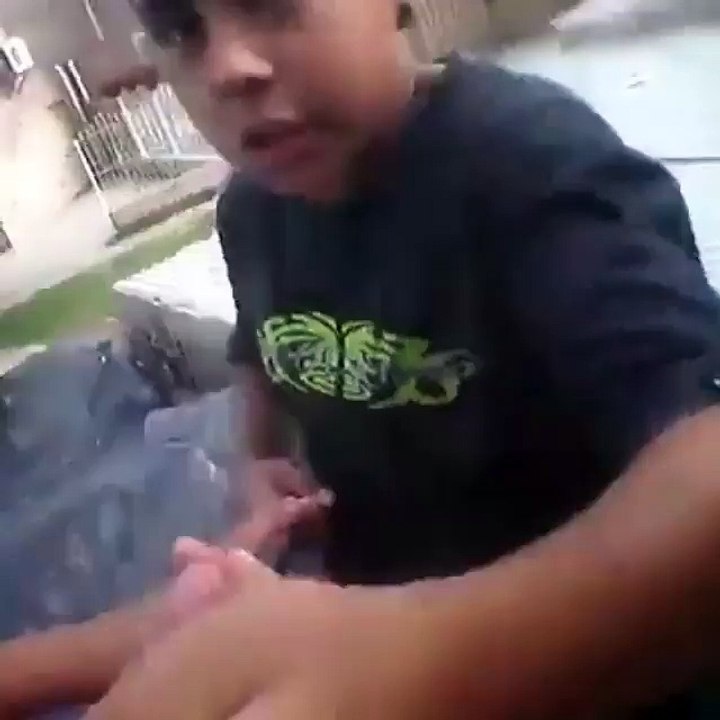 Funny Videos #74