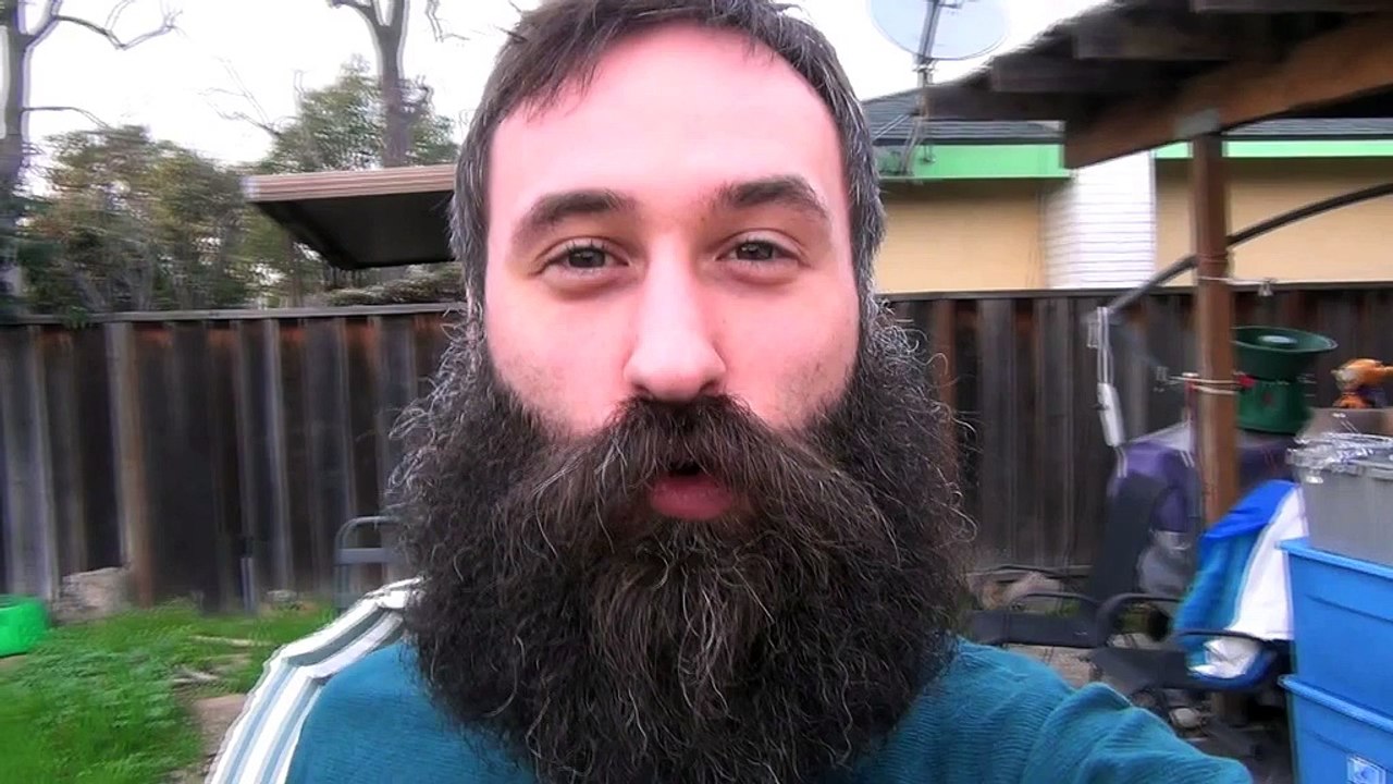 365 day timelapse showing the non-stop growth of a beard
