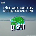 On connaissait le Salar d'Uyuni, on découvre avec WORLD IN A BOX l'île aux cactus. Et on irait bien y faire un saut.