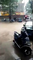 watch walking traffic light.....