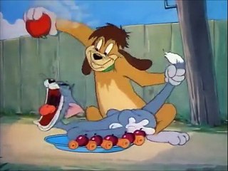 Tom and Jerry, 35 Episode - The Truce Hurts (1948)