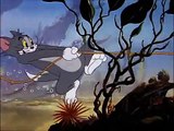 Tom and Jerry, 43 Episode - The Cat and the Mermouse (1949)