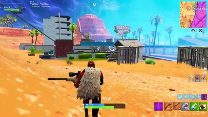 The *RANDOM SKIN* Challenge In Fortnite Battle Royale!