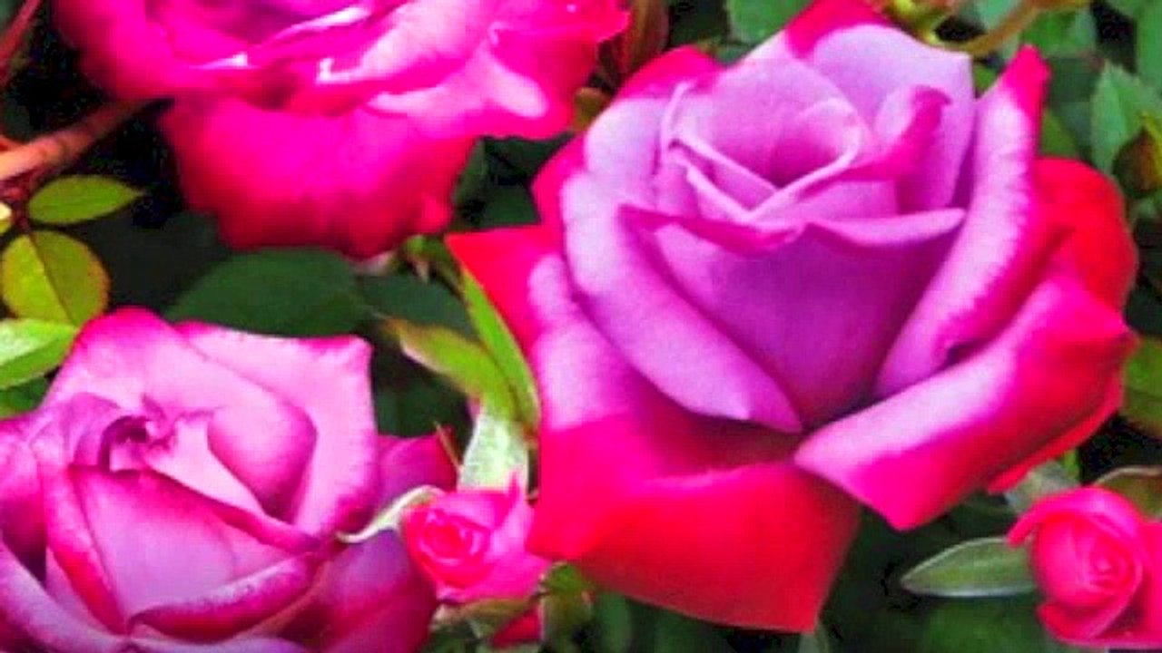 Guided Meditation Ep 1 Releasing Anger