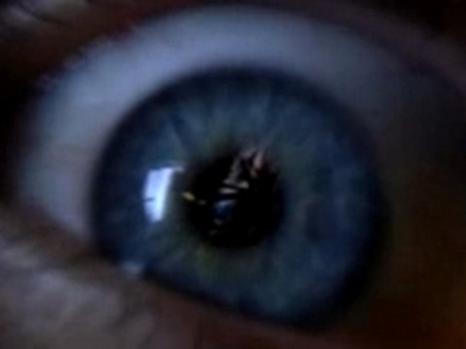 Decoys (Theatrical Trailer) video Dailymotion