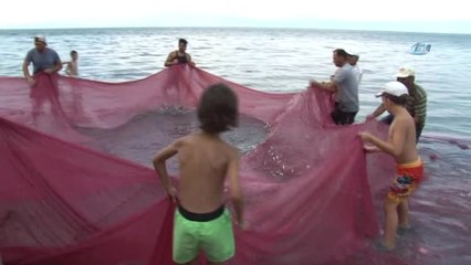 Balıkçılar Bu Balığa Av Yasağı Getirilmesini İstiyor