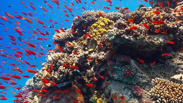 Superior Unmanned Underwater Drone