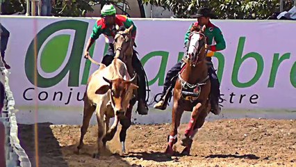 COPA AMERICA DE COLEO 2014