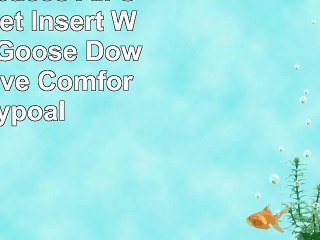 Comfort Spaces  All Season Duvet Insert White Plush Goose Down Alternative Comforter