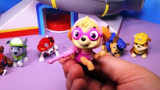 Paw Patrol Pup Buddies Pack Video Toys Unboxing