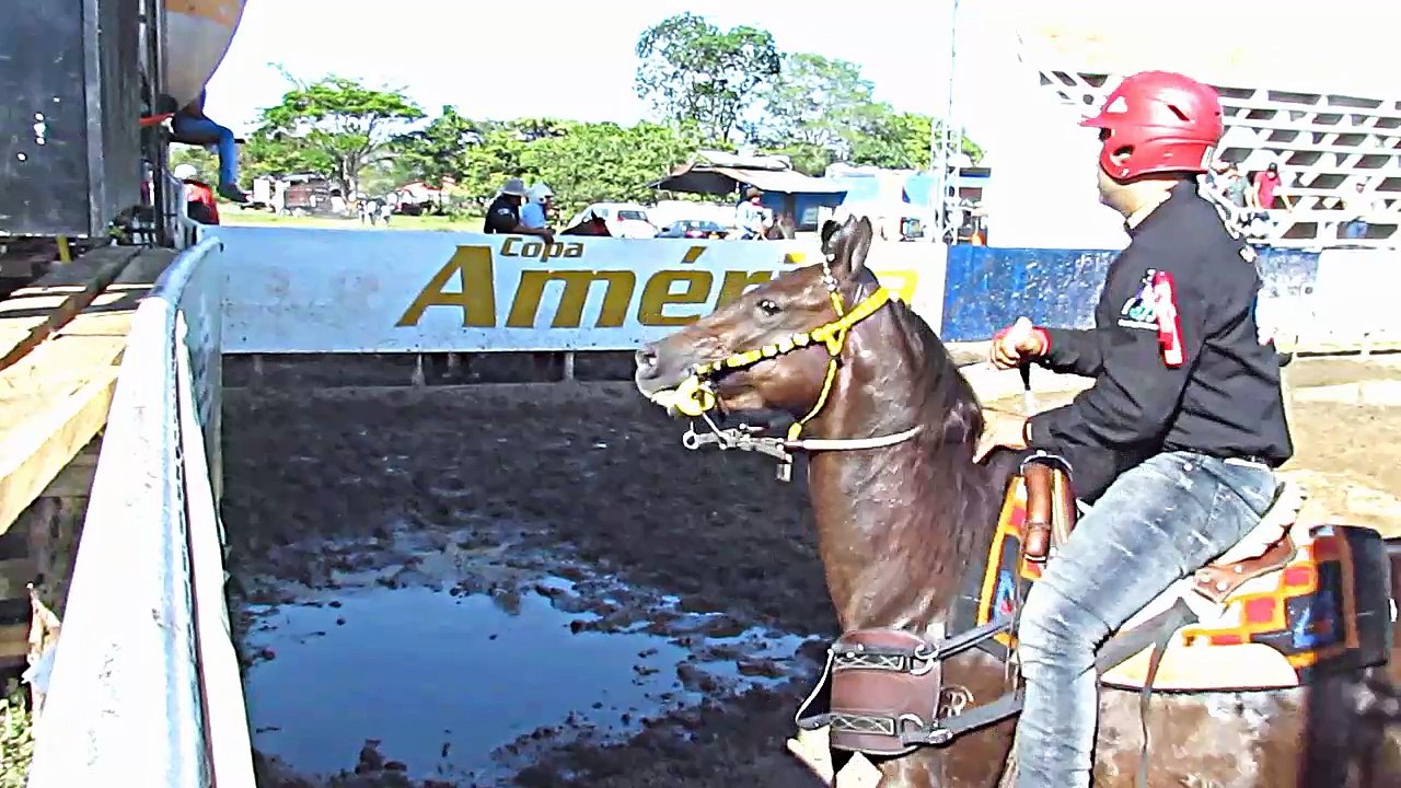 COPA AMERICA DE COLEO 2017