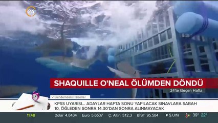 Kafese köpek balığı girdi