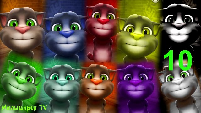 котик цвета учить. котик цвета учить. цифра 3 кота. говорящий кот том учим цвета. котик цвета учить.