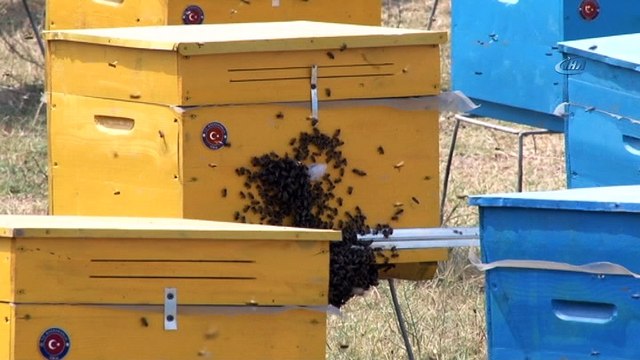 - TİKA, Çocuk Mercanlı köyüne yerleşen ailelere istihdam sağlıyor- TİKA Azerbaycan’da projelerine hız kesmiyor