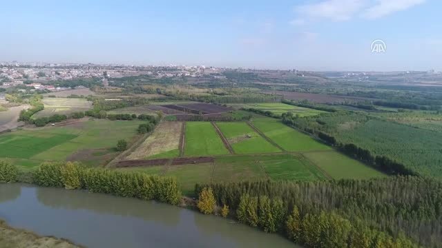 Diyarbakır Turizm Hedeflerine Emin Adımlarla İlerliyor