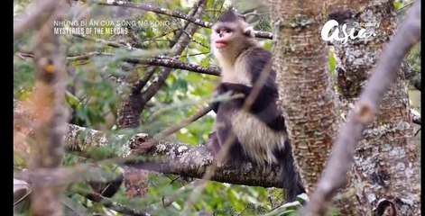 MYSTERIES OF THE MEKONG