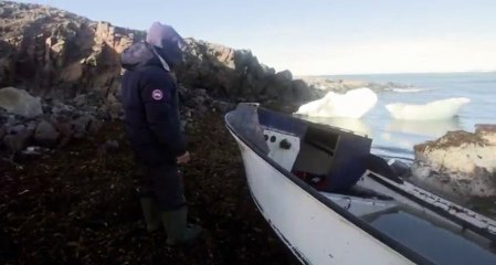 Arctic Secrets S01xxE05 Wild Seas - Part 02