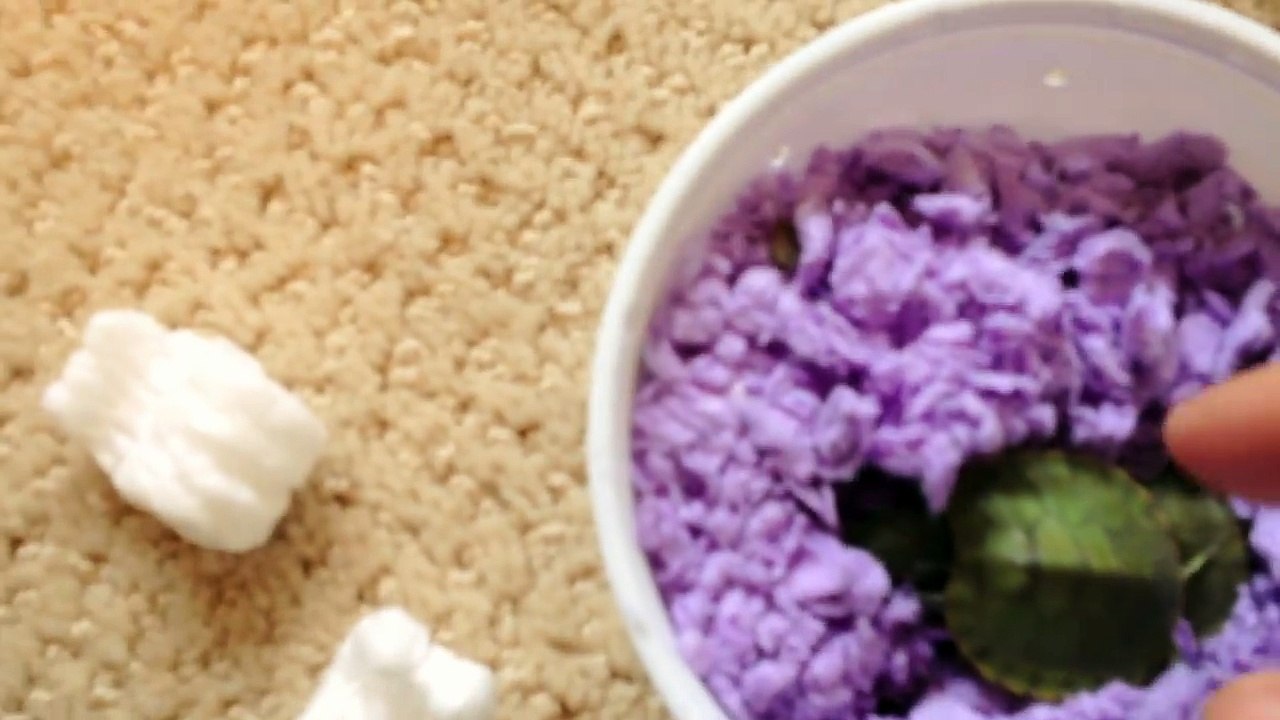 NEW! Rare Cute Baby Turtles