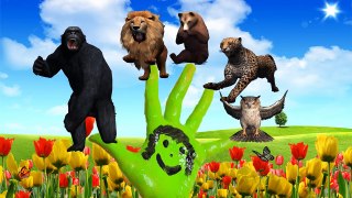 The Finger Family Nursery children English rhymes | 3d Wild Animals Collection