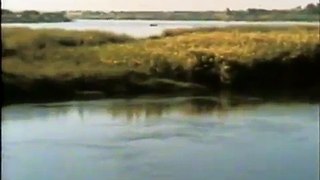 Nile: Profile Of A River (clip)