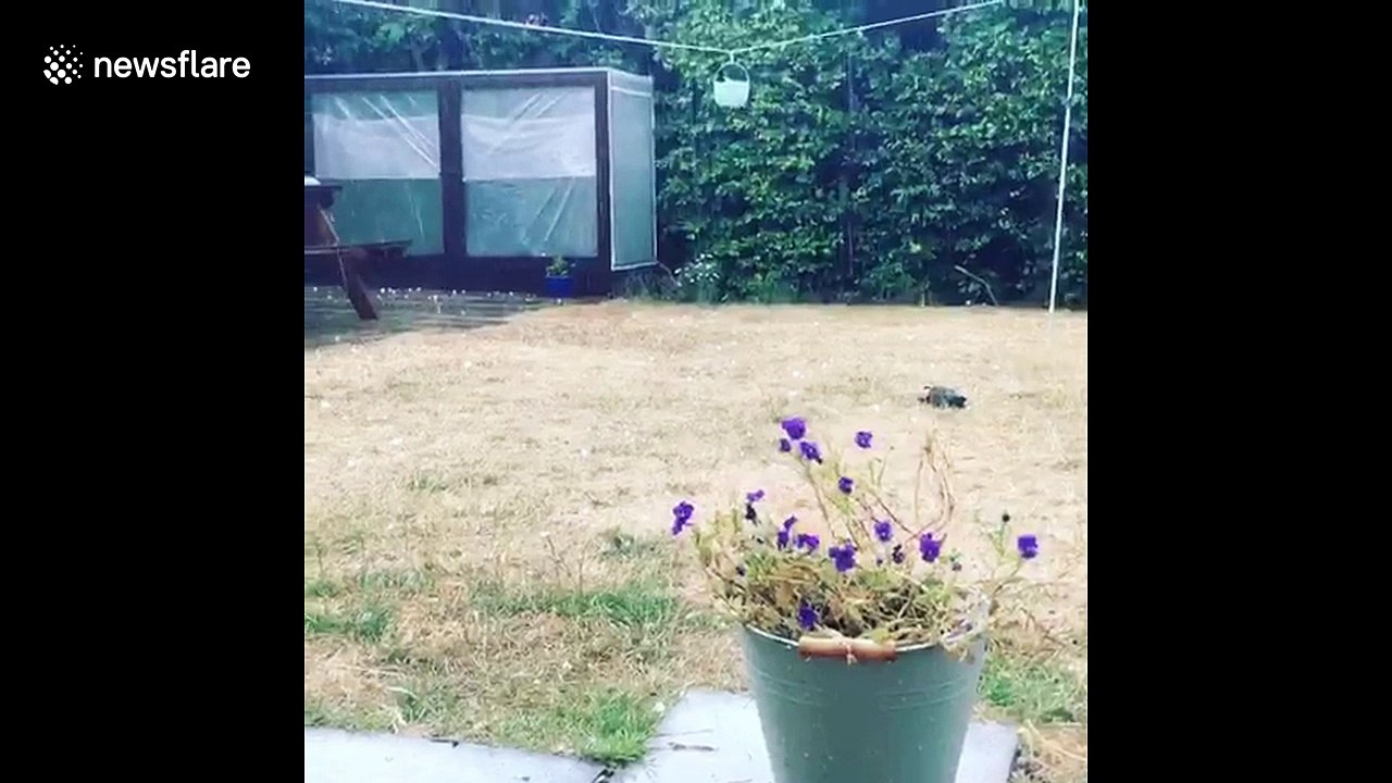 Huge hailstones fall in Norfolk, UK