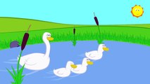 Childrens Songs Three Little Ducks Kids Nursery Rhymes, Music & Songs