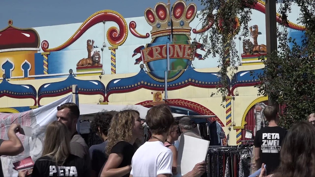 Nach Elefantenunfall in Osnabrück: Tierschützer demonstrieren vor Circus Krone