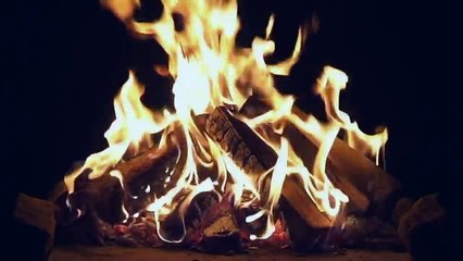 Virtual Campfire with Crackling Fire Sounds (HD)