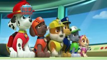 PAW Patrol Meet All Pups