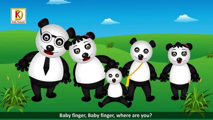 Finger Family Panda - Animal Finger Family Song