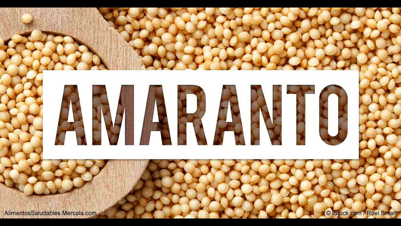 Alimentos con las mejores Proteínas Vegetales