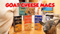 BoxMac 118: Goat Cheese Macs