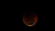Brazilians flock to Rio's beaches for a glimpse of the lunar eclipse