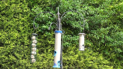 Slow TV Living Arts Bird Feeding Station UHD 4K