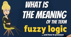 What is FUZZY LOGIC? What does FUZZY LOGIC mean? FUZZY LOGIC meaning & explanation