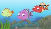 Panchatantra Tales A Tale of Three Fish