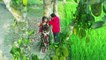 Haat dhoiro na Video Song - Cini BiBi 2015 Bangla Movie 720 p(BDmusic25.info