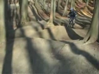 TOM&DOLPH FREERIDE/DH2007 (1ère partie)