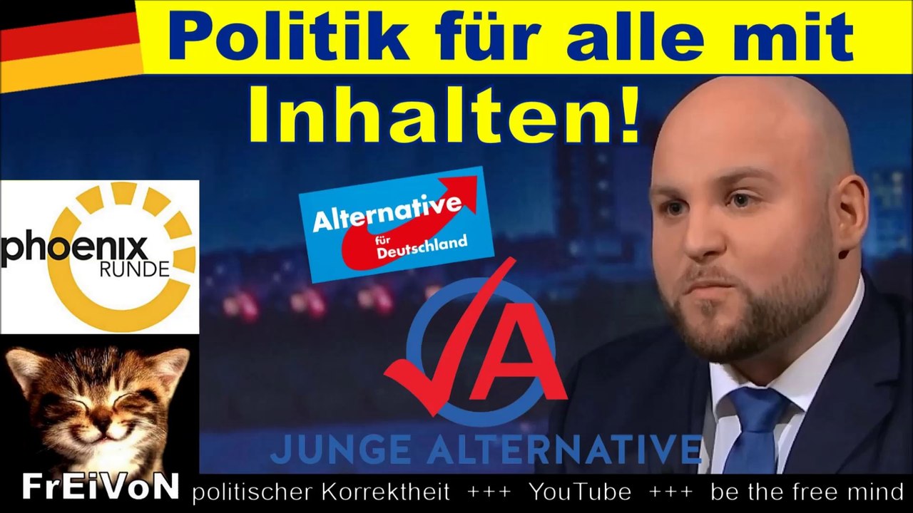 Junge Alternative * FROHNMAIER: AfD macht POLITIK mit INHALTEN - FÜR ALLE! "phönix Runde"