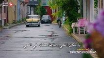 مسلسل طائر الصباح الحلقة 6 مترجم كاملة الرابط اسفل