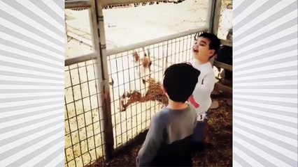 LOS VIDEOS MAS CHISTOSOS EN 1 MINUTO