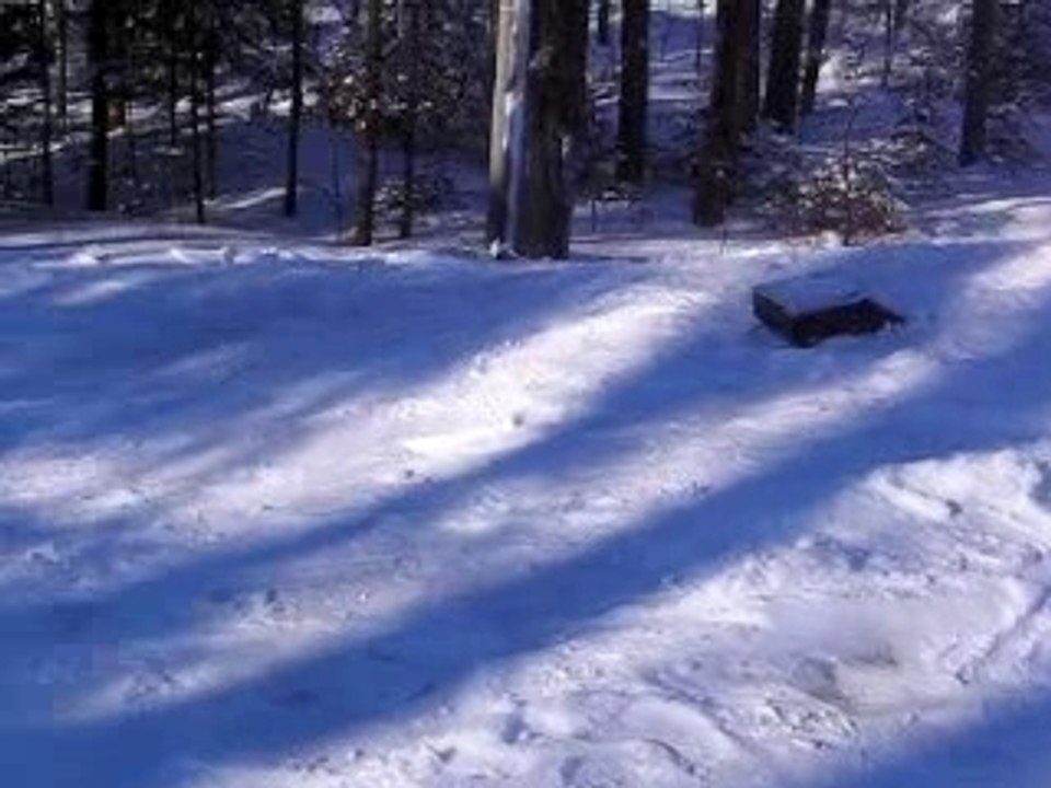 Tempete souffleuse jean 019