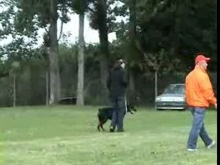 TC Sant Kreal Uriana Faygora     Nationale d'Elevage 2007