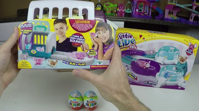 Cutest Little Live Pets Mouse House & Trail | Cat vs Mouse Battle Challenge | Kinder Surpr