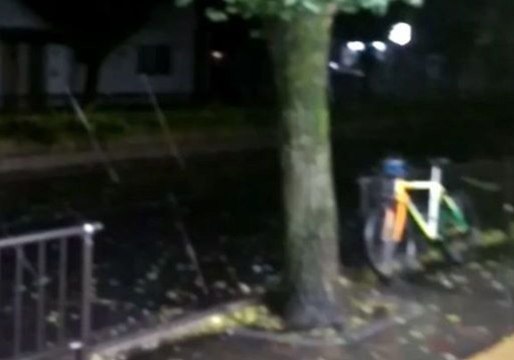 Battering Rains and Wild Winds as Typhoon Jongdari Makes Landfall Near Kyoto