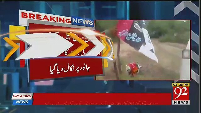 پی ٹی آئی کا پارٹی پرچم لپیٹ کر کتے کو گولیاں مارنے والے دونوں افراد اس وقت کہاں ہے ؟ پتا چل گیا